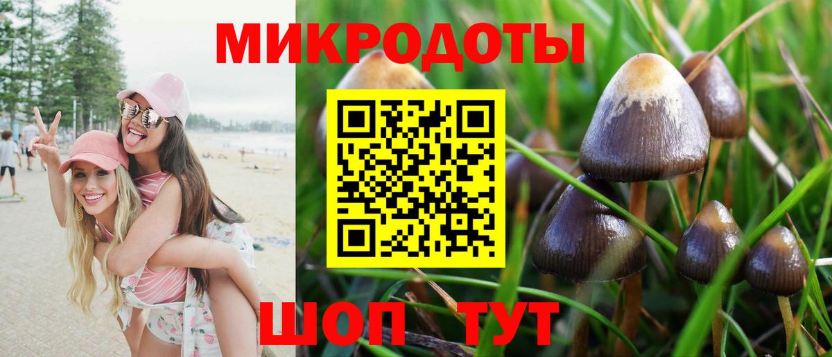 Псилоцибиновые грибы Psilocybe Заречный