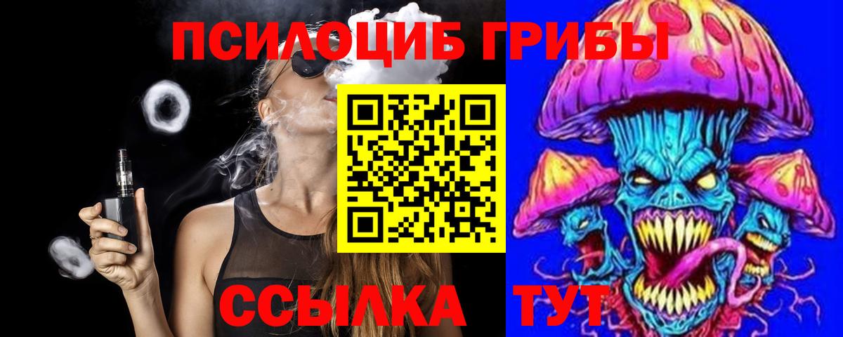 Заречный  Псилоцибиновые грибы прущие грибы  Вход с VPN 